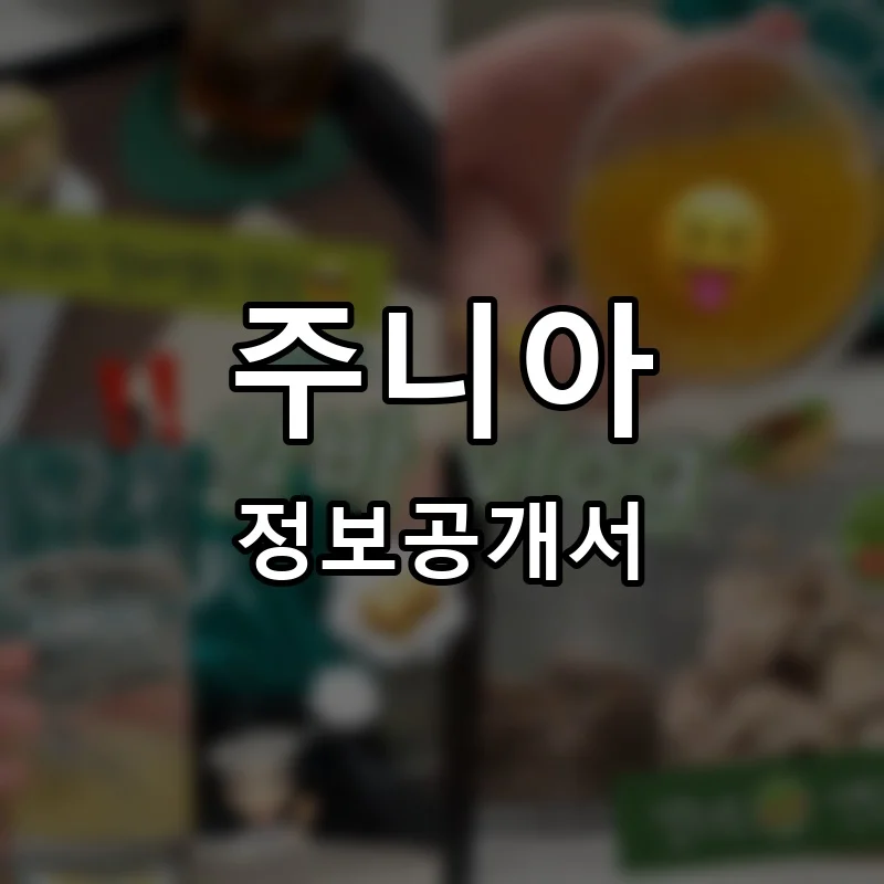 주니아(JUNIA) 프랜차이즈 창업 비용 정보공개서 요약