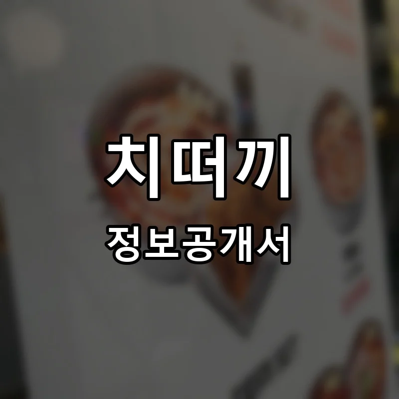 치떠끼 프랜차이즈 창업 비용 정보공개서 요약