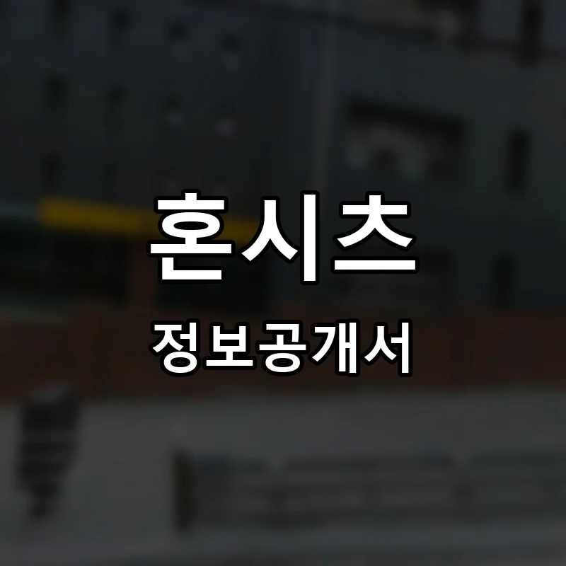혼시츠 프랜차이즈 정보공개서