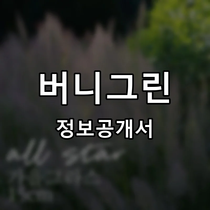 버니그린 프랜차이즈 창업 비용 정보공개서 요약