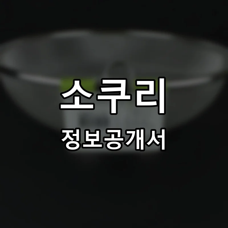 소쿠리 프랜차이즈 창업 비용 정보공개서 요약