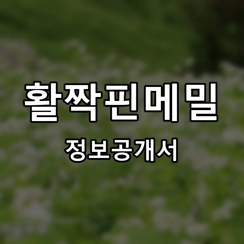 활짝핀메밀 프랜차이즈 정보공개서