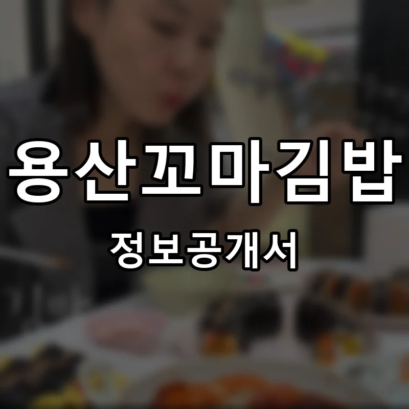 용산꼬마김밥 프랜차이즈 창업 비용 정보공개서 요약