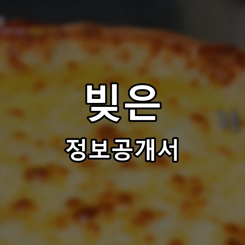 빚은 프랜차이즈 정보공개서
