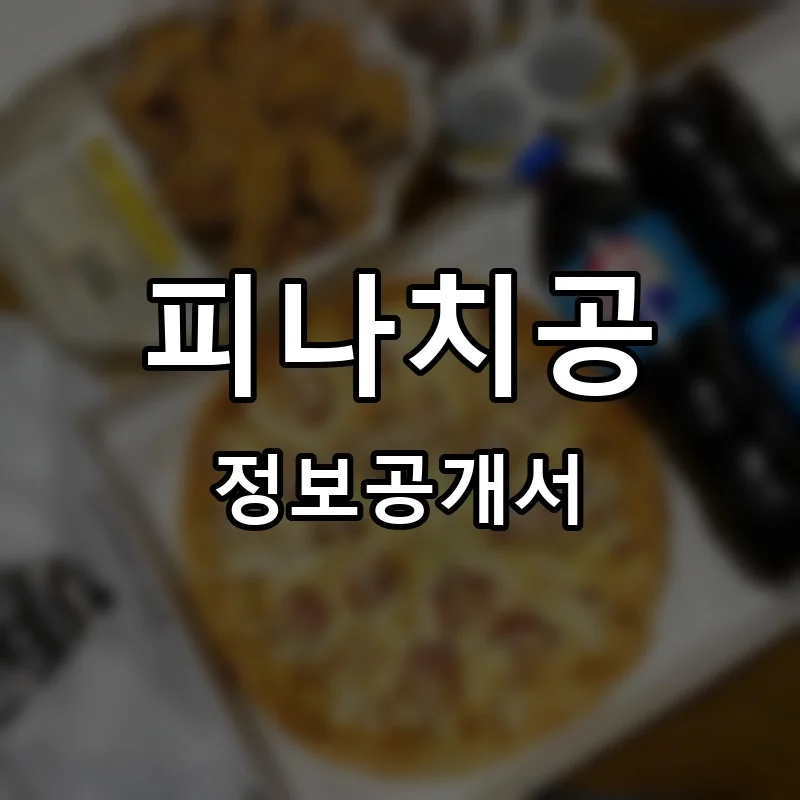 피나치공 프랜차이즈 정보공개서