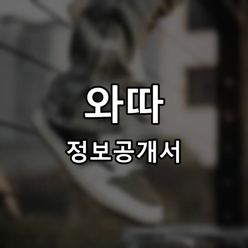 와따 프랜차이즈 정보공개서