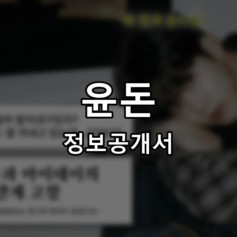 윤돈 프랜차이즈 창업 비용 정보공개서 요약