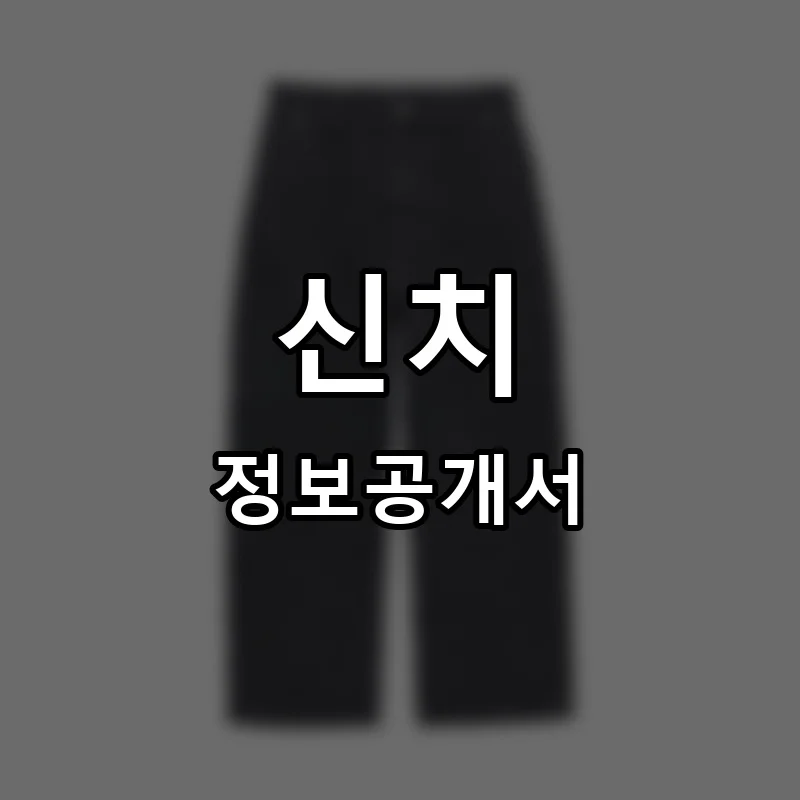 신치 프랜차이즈 정보공개서