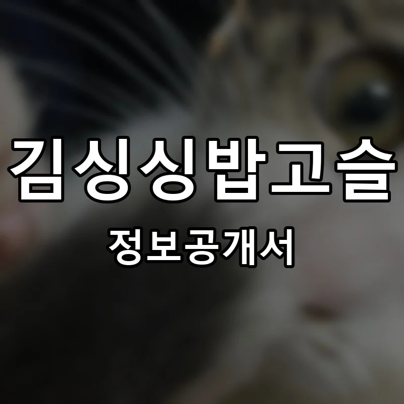 김싱싱밥고슬 프랜차이즈 정보공개서