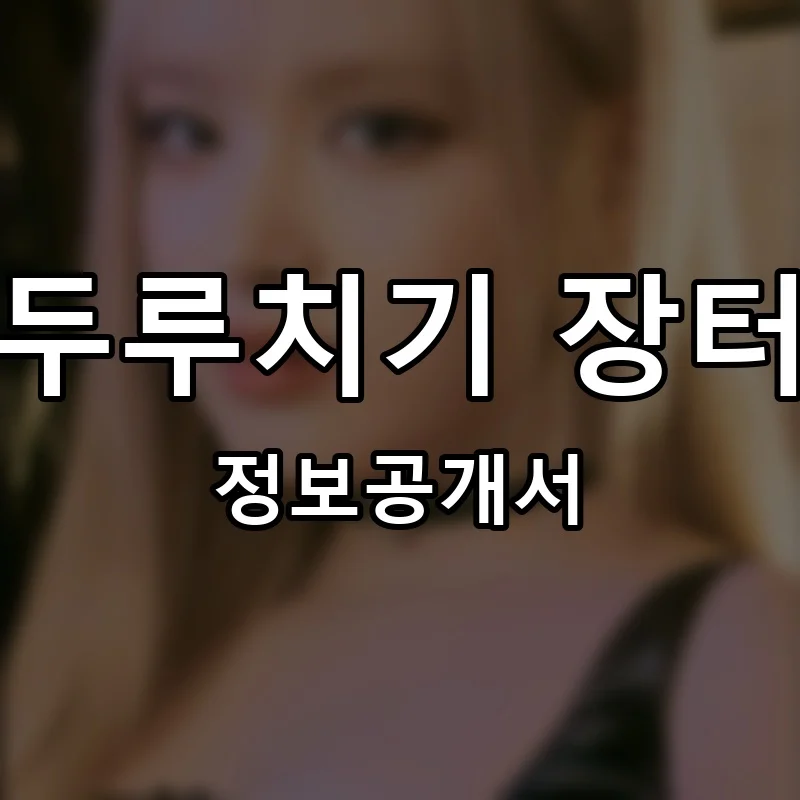 두루치기 장터 프랜차이즈 정보공개서 요약 2026.01.20