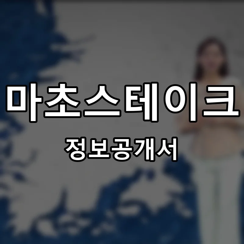 마초스테이크 프랜차이즈 창업 비용 정보공개서 요약