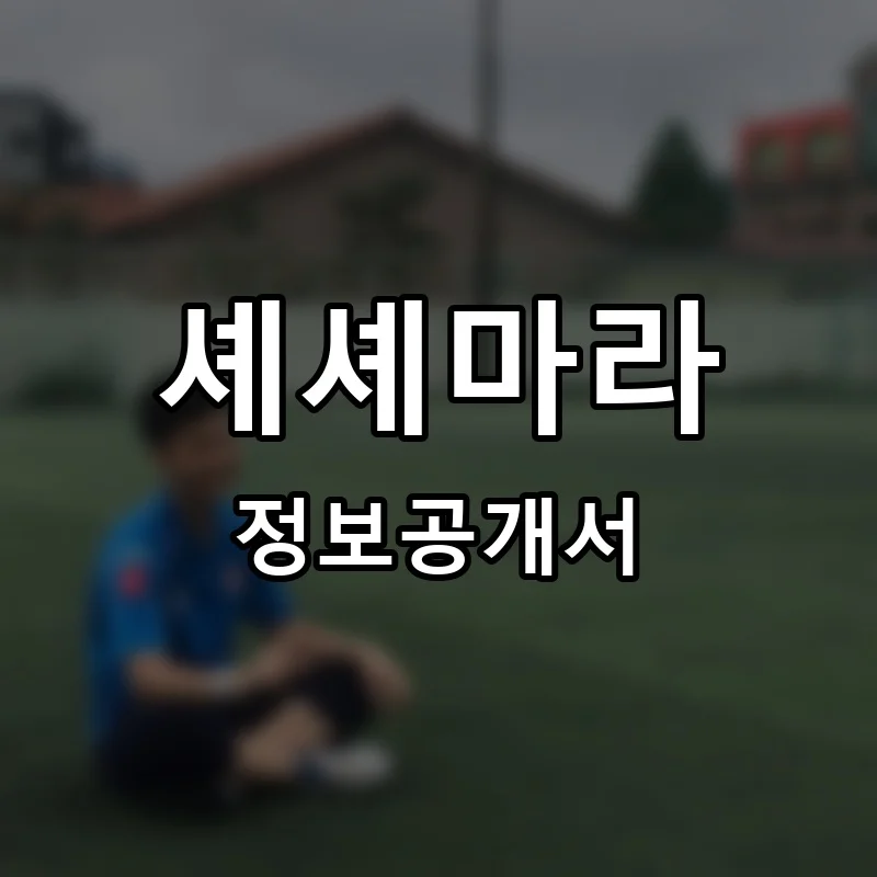 셰셰마라 프랜차이즈 정보공개서