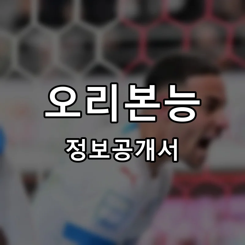 오리본능 프랜차이즈 창업 비용 정보공개서 요약