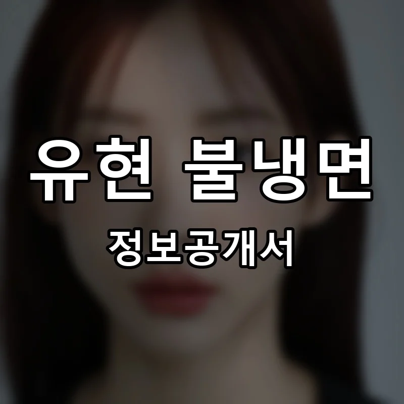 유현 불냉면 프랜차이즈 정보공개서 요약