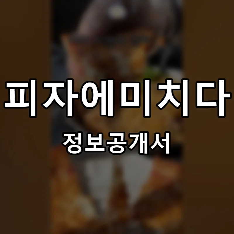 피자에미치다 프랜차이즈 정보공개서