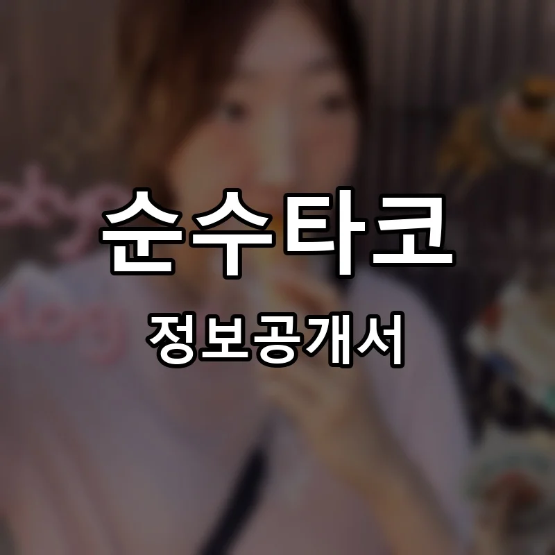 순수타코 프랜차이즈 창업 비용 정보공개서 요약