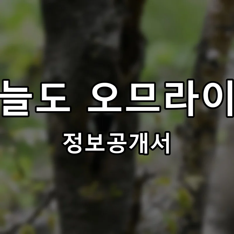 오늘도 오므라이스 프랜차이즈 창업 비용 정보공개서 요약