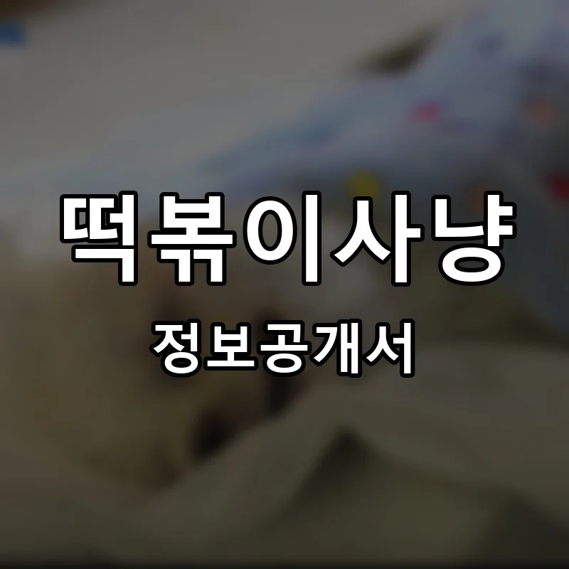 떡볶이사냥 프랜차이즈 창업 비용 정보공개서 요약
