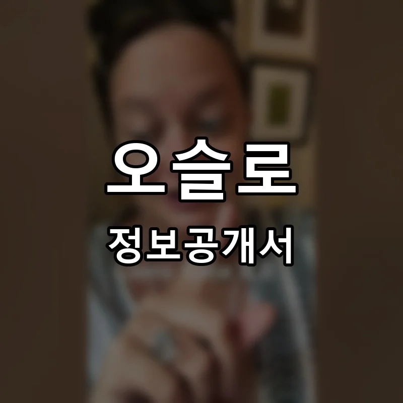 오슬로(o’slo) 프랜차이즈 정보공개서 요약