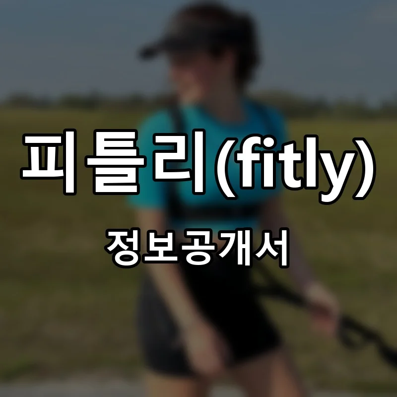 피틀리(fitly) 프랜차이즈 정보공개서