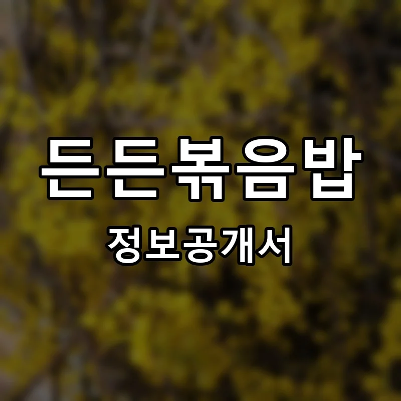 든든볶음밥 프랜차이즈 정보공개서 요약 2025.12.18