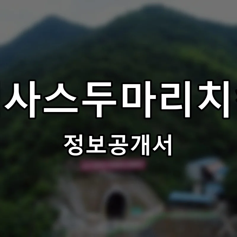 텍사스두마리치킨 프랜차이즈 정보공개서