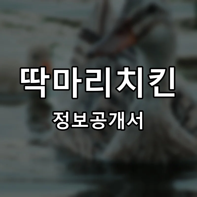 딱마리치킨 프랜차이즈 창업 비용 정보공개서 요약