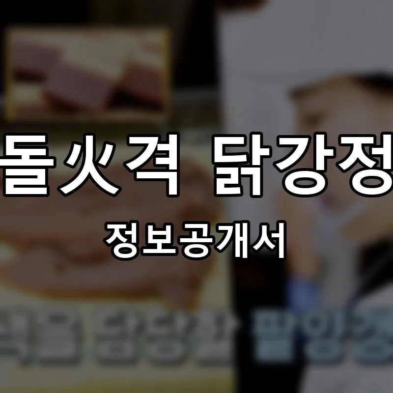 돌火격 닭강정 프랜차이즈 정보공개서 요약 2025.12.17