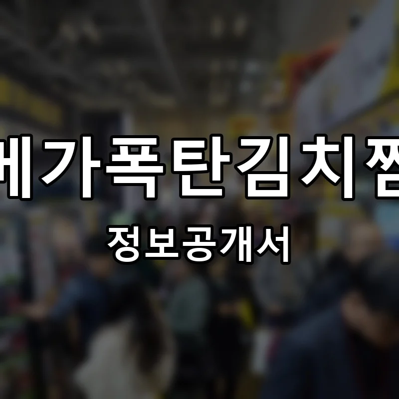 메가폭탄김치찜 프랜차이즈 정보공개서 요약 2025.12.12