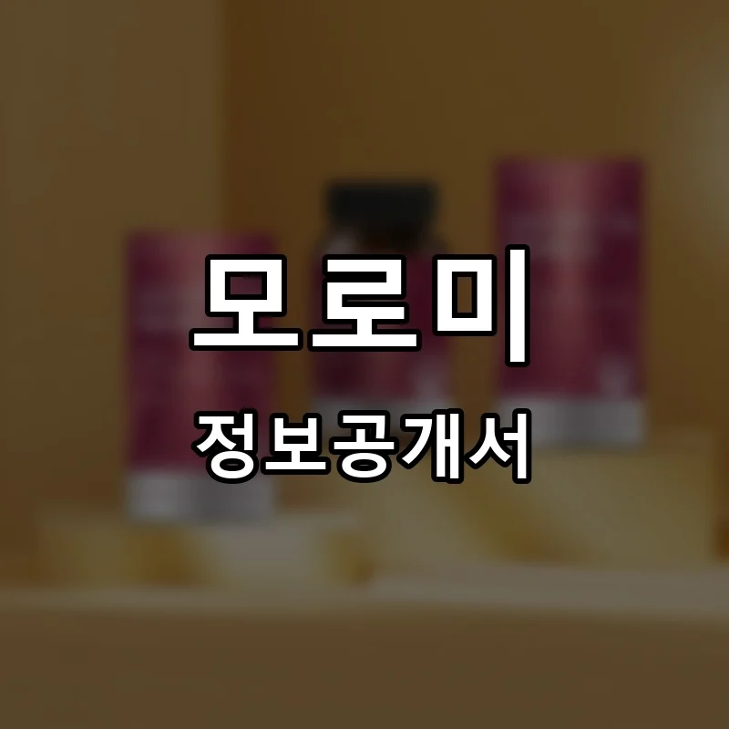 모로미 프랜차이즈 정보공개서