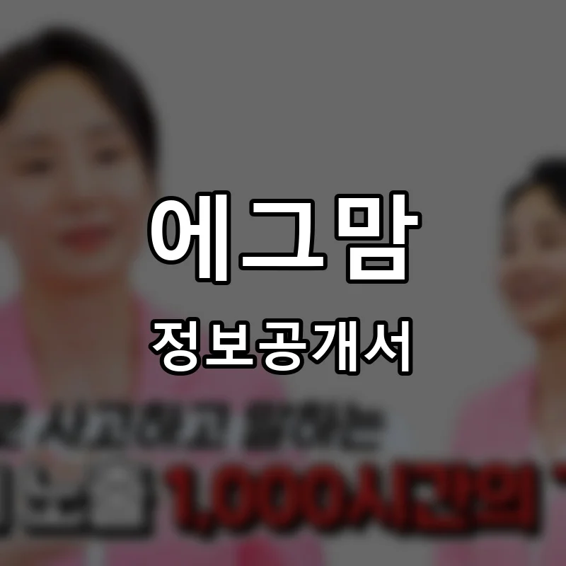 에그맘 프랜차이즈 창업 비용 정보공개서 요약
