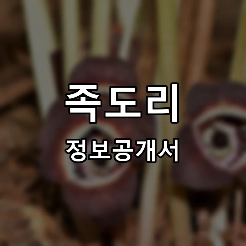 족도리 프랜차이즈 창업 비용 정보공개서 요약