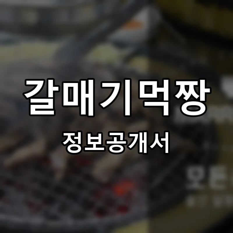 갈매기먹짱 프랜차이즈 창업 비용 정보공개서 요약