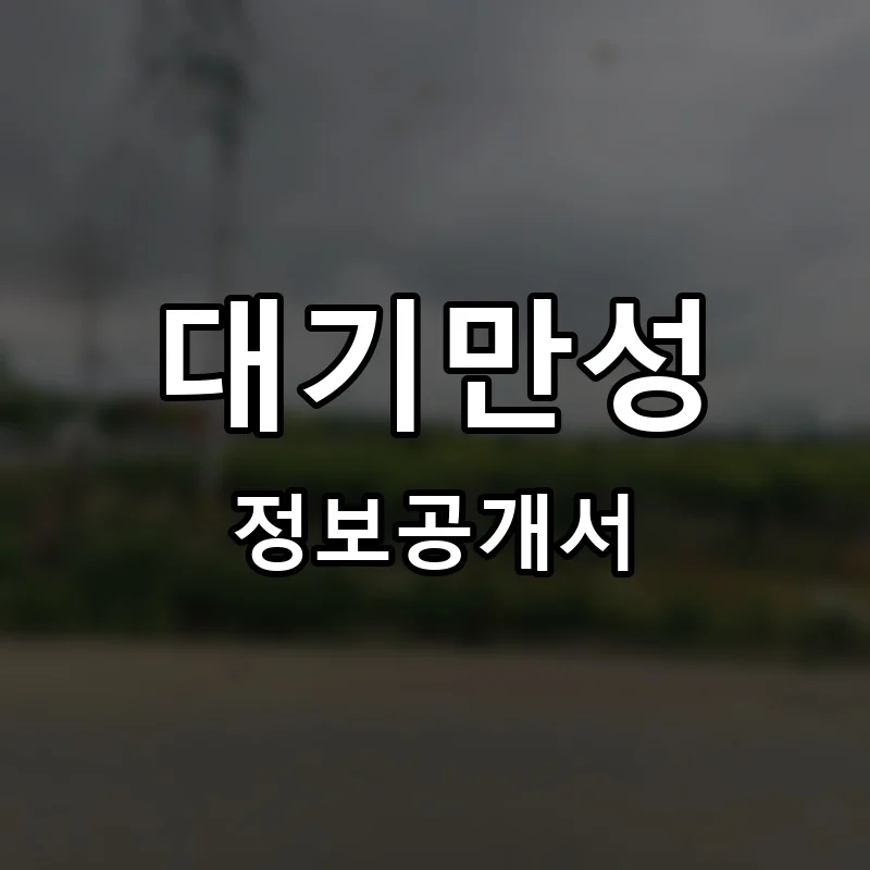 대기만성 프랜차이즈 창업 비용 정보공개서 요약