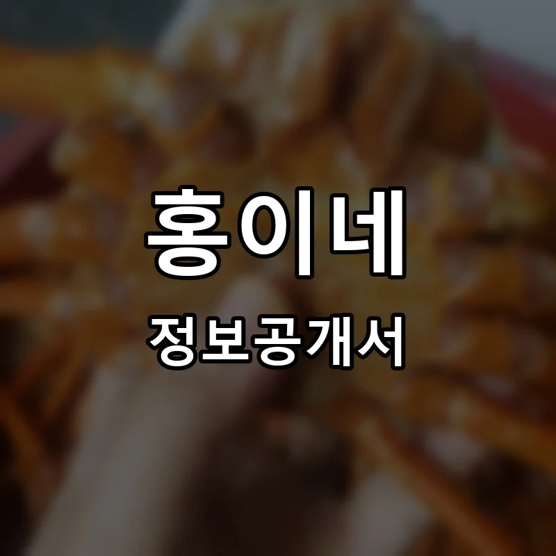 홍이네 프랜차이즈 정보공개서
