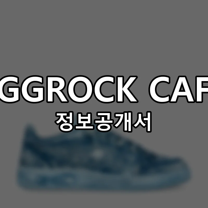 EGGROCK CAFE 창업 프랜차이즈 정보공개서 요약 2025.11.28