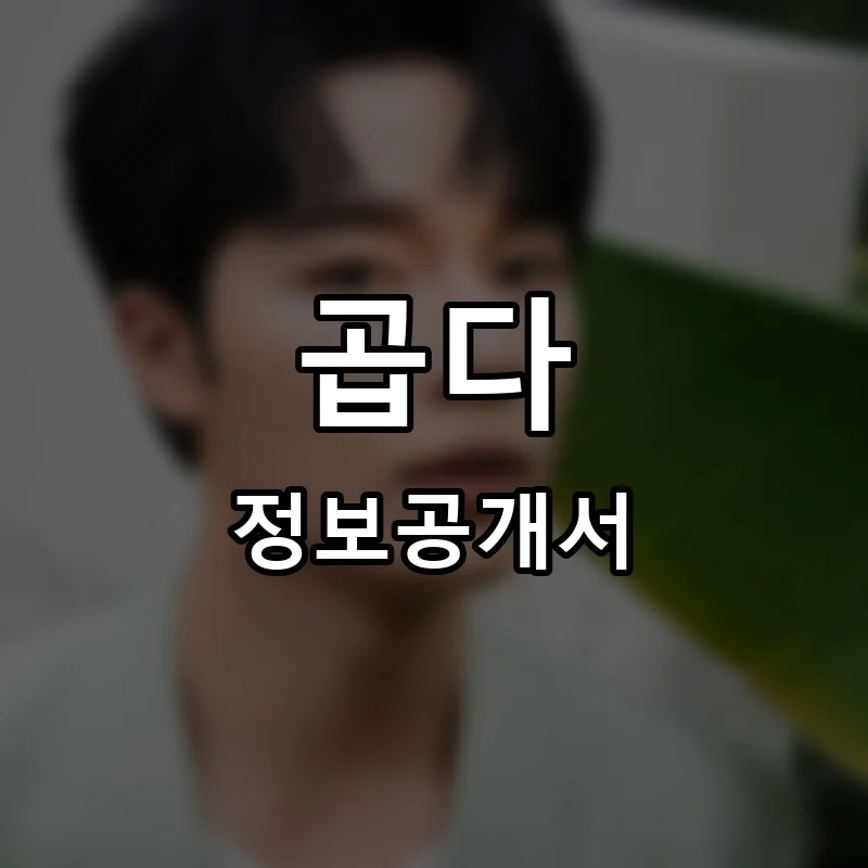 곱다 프랜차이즈 정보공개서