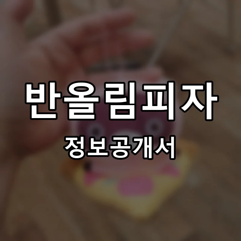 반올림피자 프랜차이즈 창업 비용 정보공개서 요약