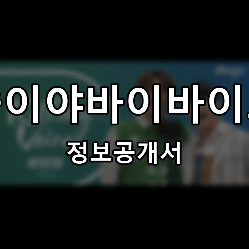 술이야바이바이브(술이야 by vibe) 프랜차이즈 창업 비용 정보공개서 요약