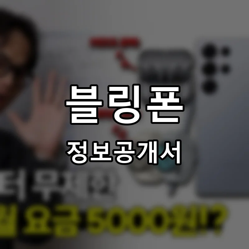 블링폰 프랜차이즈 창업 비용 정보공개서 요약