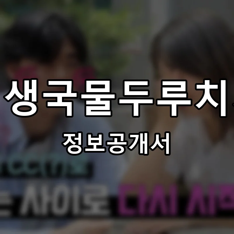 인생국물두루치기 프랜차이즈 창업 비용 정보공개서 요약
