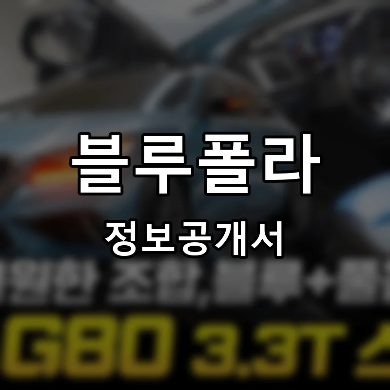 블루폴라 프랜차이즈 창업 비용 정보공개서 요약