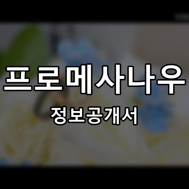 프로메사나우 프랜차이즈 정보공개서