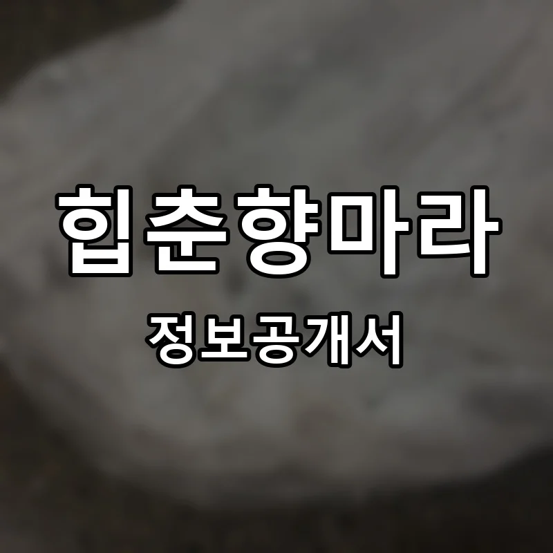 힙춘향마라 프랜차이즈 창업 비용 정보공개서 요약