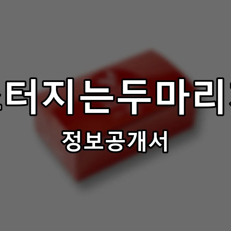 박스터지는두마리치킨 프랜차이즈 창업 비용 정보공개서 요약