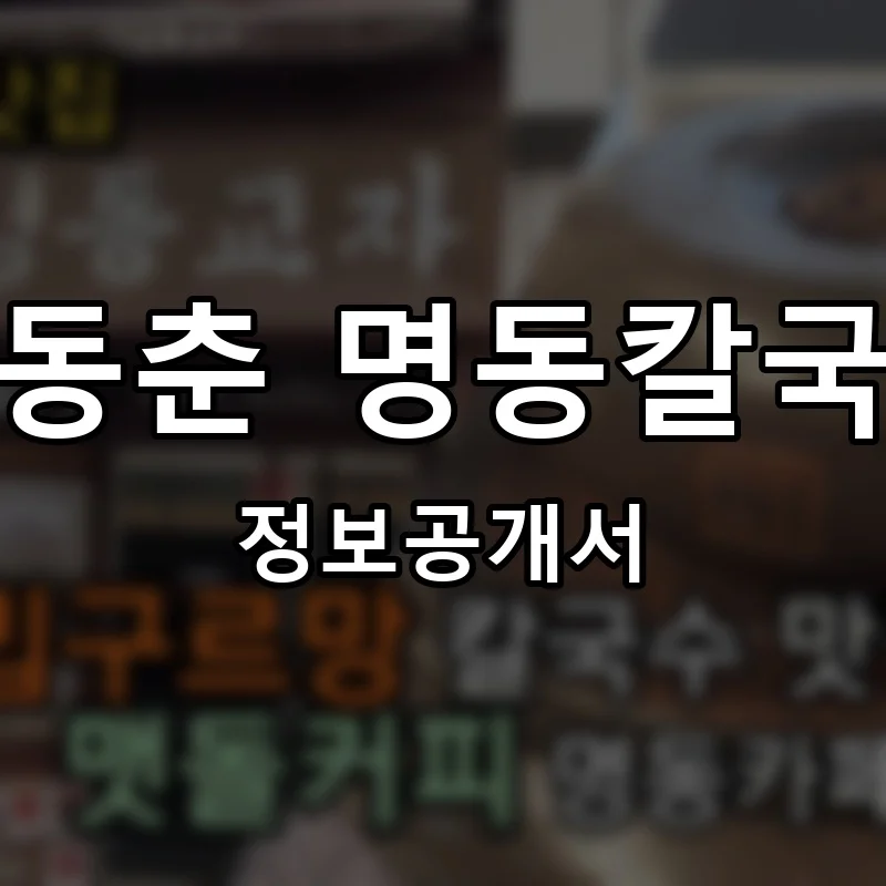 변동춘 명동칼국수 프랜차이즈 창업 비용 정보공개서 요약
