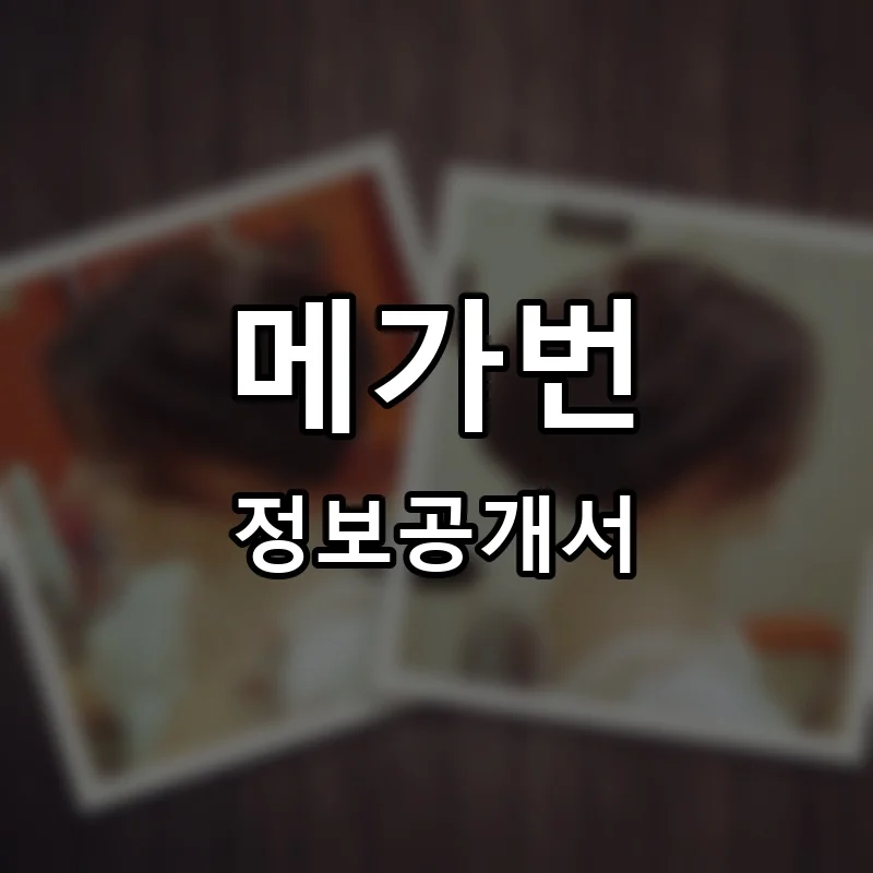 메가번(MAGABUN) 프랜차이즈 창업 비용 정보공개서 요약