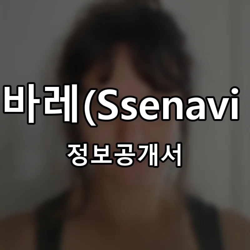 쎄나비바레(Ssenavi Barre) 프랜차이즈 창업 비용 정보공개서 요약