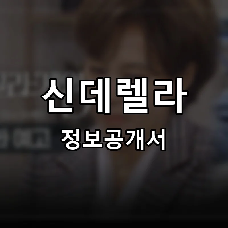 신데렐라 프랜차이즈 창업 비용 정보공개서 요약