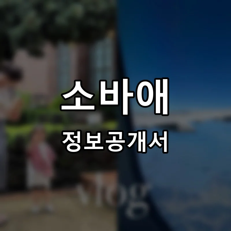 소바애 프랜차이즈 창업 비용 정보공개서 요약